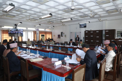 Parliamentary Hearing Committee approves four nominees including proposed Supreme Court justices