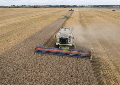 FILE - Harvesters collect wheat in the village of Zghurivka, Ukraine, on Aug. 9, 2022. (AP/RSS Photo)