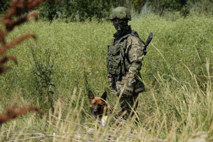 FILE - A Russian mine clearing expert with a dog works to find and defuse mines along the high voltage line in Mariupol, under the Government of the Donetsk People's Republic control, eastern Ukraine, Wednesday, July 13, 2022. AP/RSS Photo