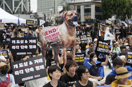 FILE - Animal rights activists stage a rally opposing South Korea’s traditional culture of eating dog meat in Seoul, South Korea on July 8, 2023. (AP/RSS Photo)