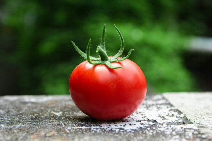 Locally grown tomatoes can have a higher environmental impact if grown in heated greenhouses. Unsplash: Avin CP