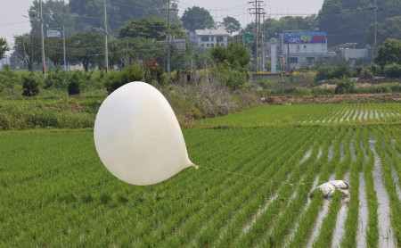 FILE - A balloon presumably sent by North Korea, is seen in a paddy field in Incheon, South Korea, on June 10, 2024. AP/RSS Photo