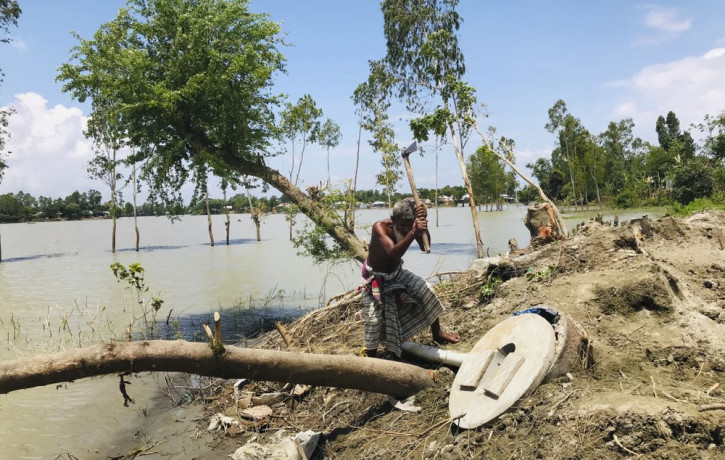 A Bangladeshi elderly person cuts an uprooted tree as the area around him is seen submerged with flooded waters in Manikganj, some 100 kilometers (62 miles) from Dhaka, Bangladesh, Thursday, 