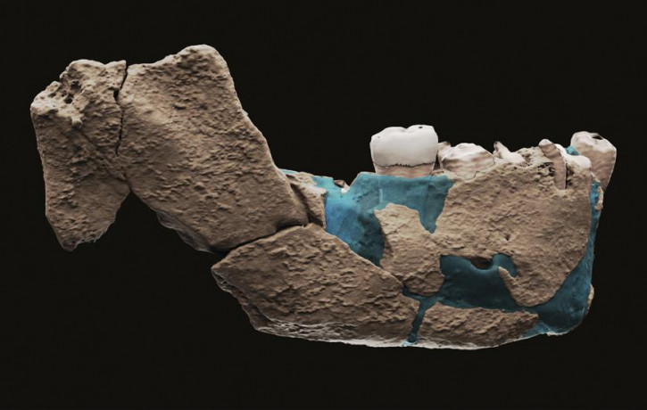 This undated image provided by Tel Aviv University in June 2021 shows a virtual reconstruction of a human ancestor mandible found in Nesher Ramla, Israel.