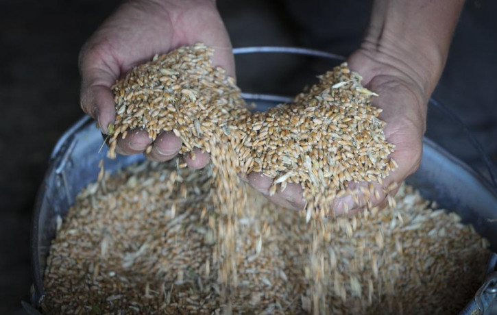 FILE - Farmer Serhiy shows his grains in his barn in the village of Ptyche in eastern Donetsk region, Ukraine, Sunday, June 12, 2022. AP/RSS Photo