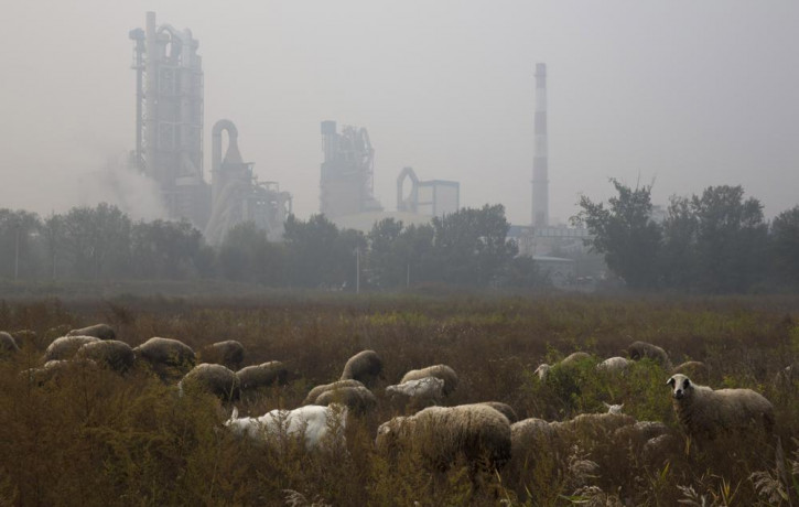 FILE - Sheep graze on a grass land near a cement plant on the outskirts of Beijing, China, Oct. 17, 2015. AP/RSS Photo