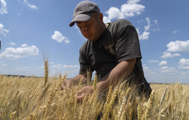 FILE - Farmer Andriy Zubko checks wheat ripeness on a field in Donetsk region, Ukraine, Tuesday, June 21, 2022.  AP/RSS Photo