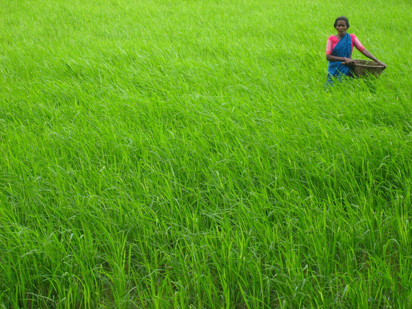 The help rural women receive at home can influence whether they escape poverty. (Meena Kadri, via Wikimedia Commons)