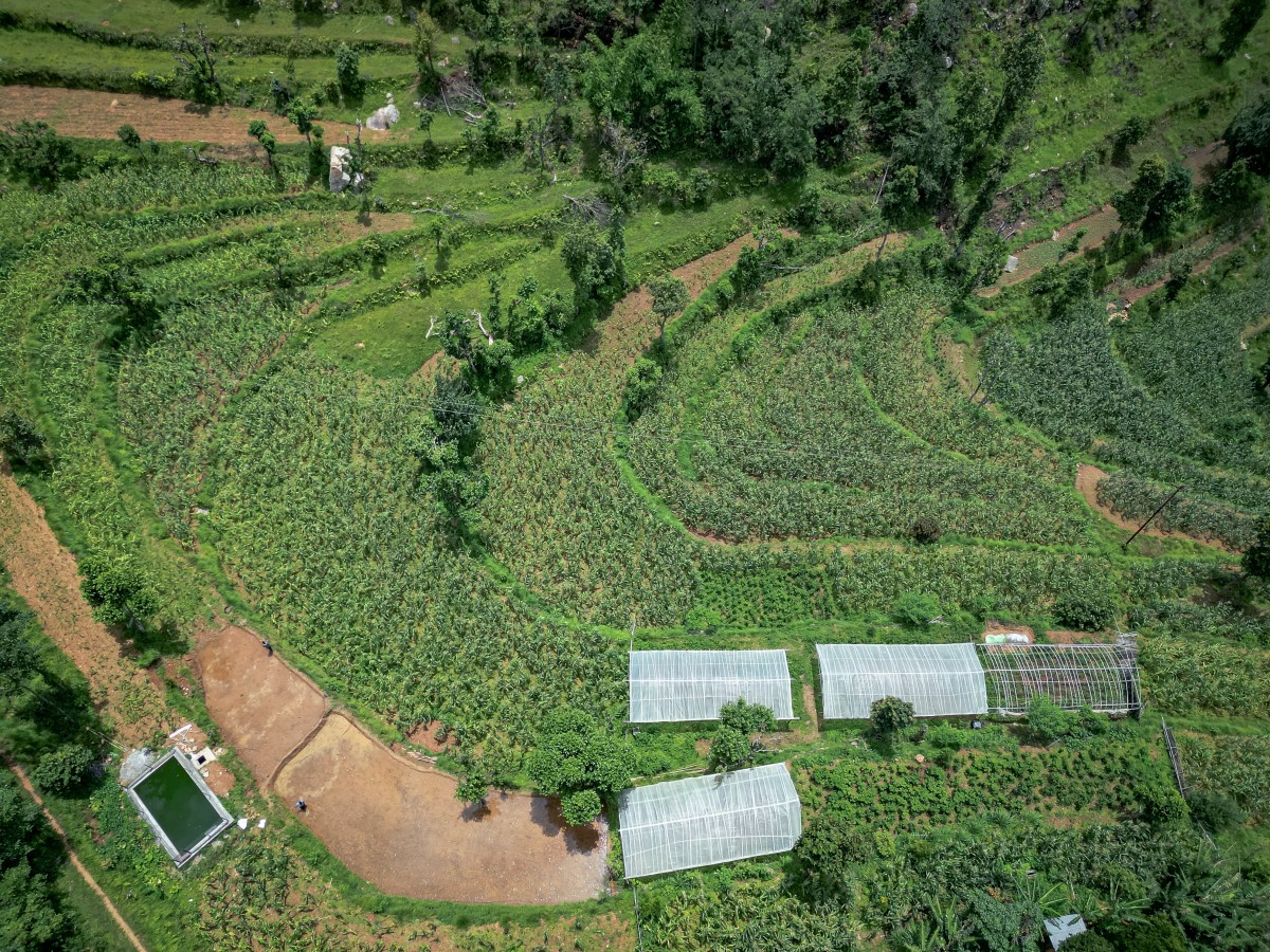 Hira-Bharat-Farm-1754308633.jpg