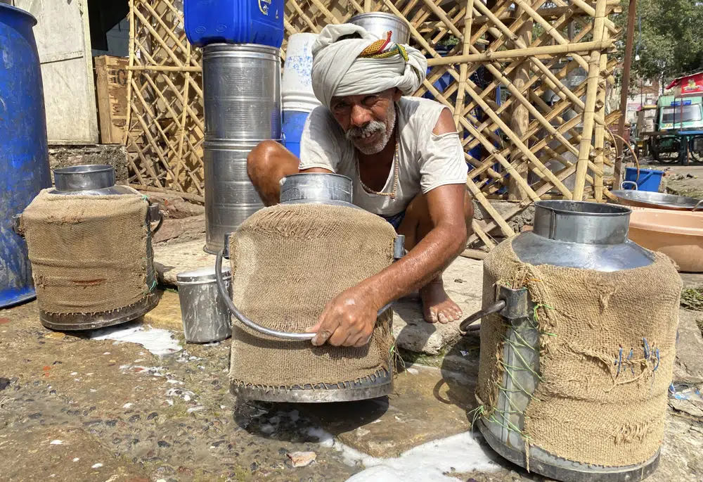 A milkman has his containers covered with wet jute sacks to prevent the milk from getting damaged due to excess heat in Prayagraj, India, Sunday, May 21, 2023. AP/RSS Photo