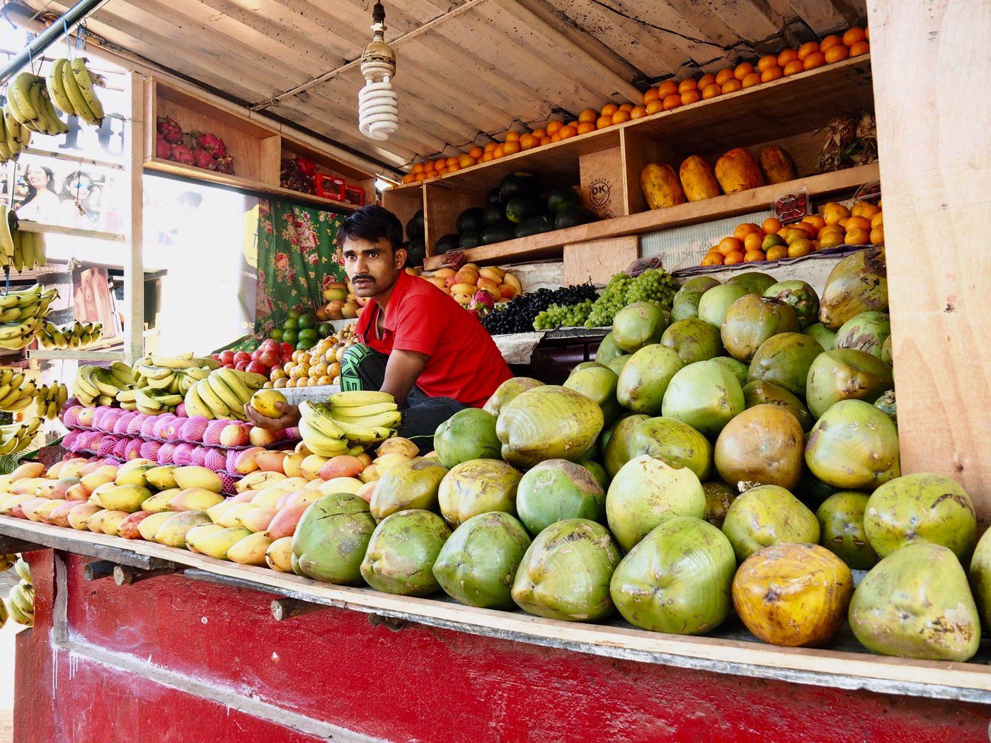 The nutritional quality of many Indians' diets have deteriorated since the start of the pandemic. (Melissa Viiron, Unsplash)