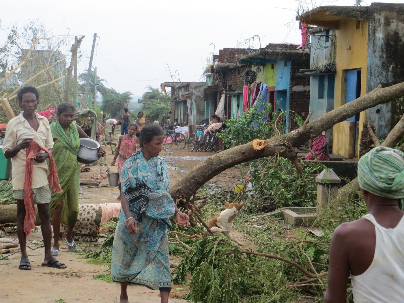 The recognition of Mother Earth as a legal person could well invite lawsuits when a cyclone or flood cannot easily be attributed to anthropogenic climate change. (ADRA India)