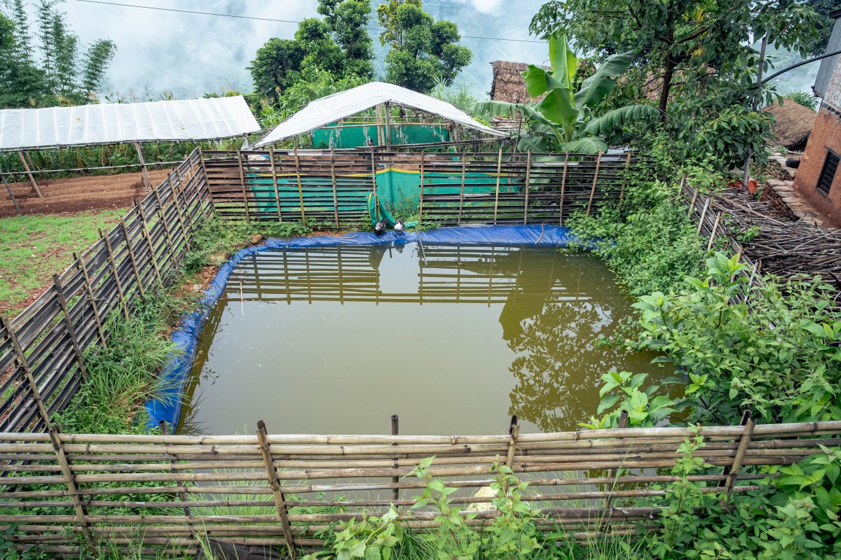 Plastic-Pond-1754308444.jpg