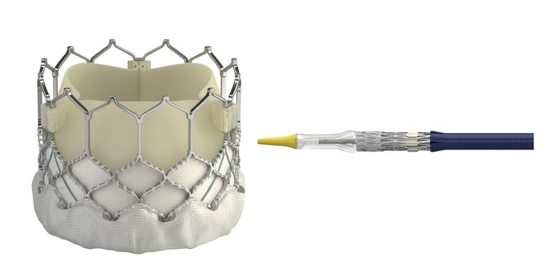 Newer heart valves may let more people avoid surgery