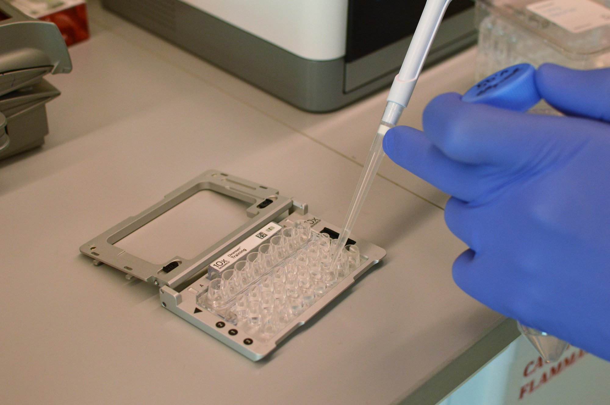 New techniques let scientists zero in on individual cells