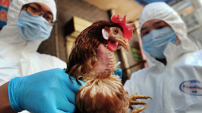 First human fatality from bird flu in Nepal