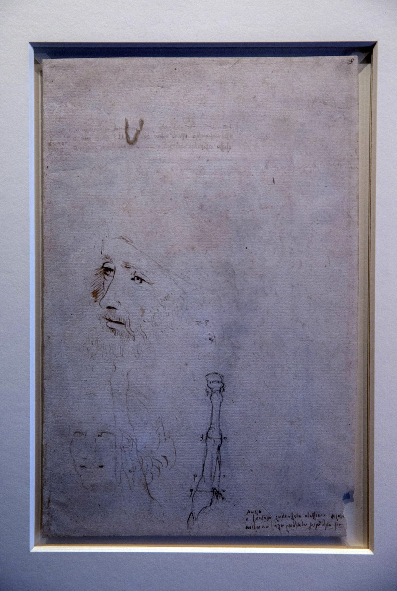 Leonardo drawing to go on view 500 years after his death