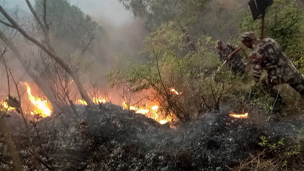 Dadeldhura reports multiple incidents of wildfire