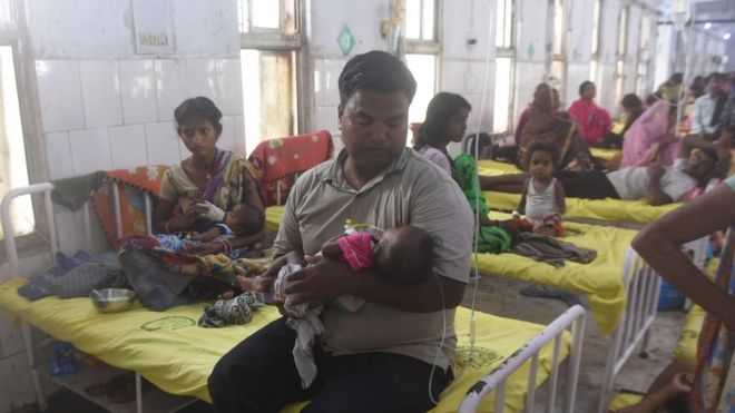 India encephalitis death toll rises to 103